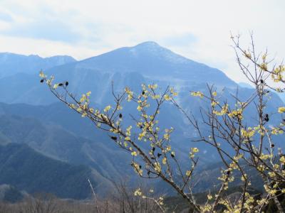 今年も日向山ハイキングを行う①芦ヶ久保～山の花道～日向山