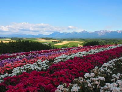 2016　夏の北海道　山も海も動物園も行く道央ドライブ旅行 ２