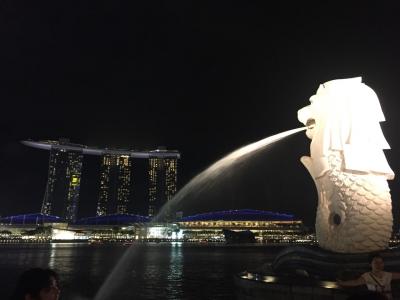 チャイニーズニューイヤーのシンガポールをいかに楽しむか?①~1日目 移動と年末のチャイナタウン~