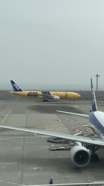 独り身男の気まま旅・・・羽田空港で飛行機見放題！C-3PO ANA JETも！！ ☆ANAで空旅⑥☆