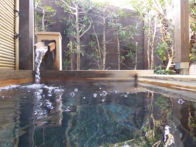 春の優雅な伊豆♪　Vol.6（第1日目）　☆伊豆高原：「ウブドの森」　まったりと温泉くつろぐ♪