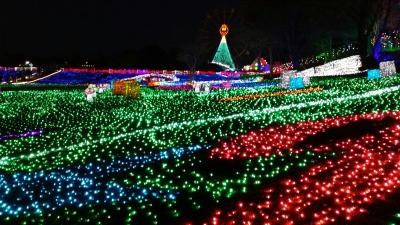 ドイツ村イルミネーション