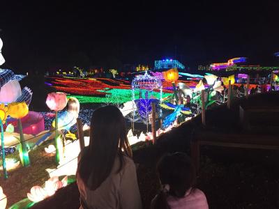 【2017・3】早春の伊豆の旅・伊豆ぐらんぱる公園～グランイルミ