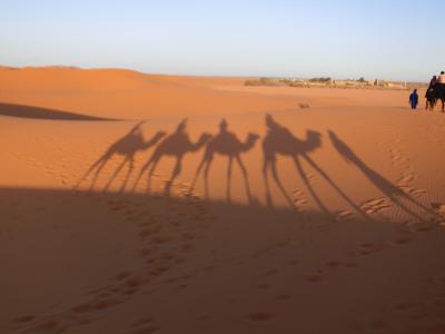 モロッコ添乗員付ツアー③　サハラ砂漠でジャマルにのる