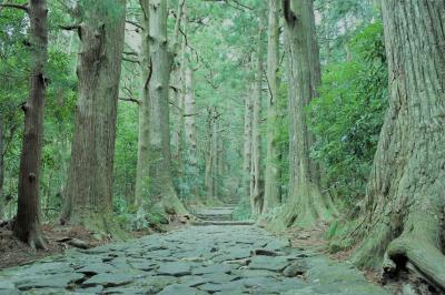 山笑う、熊野古道・大門坂を歩いてみました。