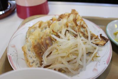 青春１８きっぷで行く「そうだ浜松餃子と静岡おでんを食べに行こう！」の旅♪