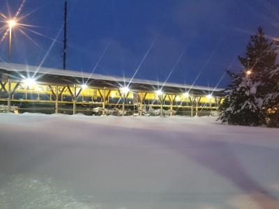 オーロラ、アラスカ鉄道、温泉と大自然満喫旅でした。