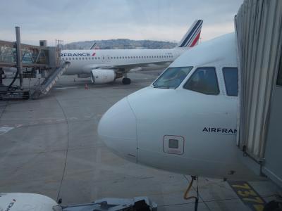 ニース・コート・ダジュール空港からパリCDGまでAir France のA320 に乗りました。