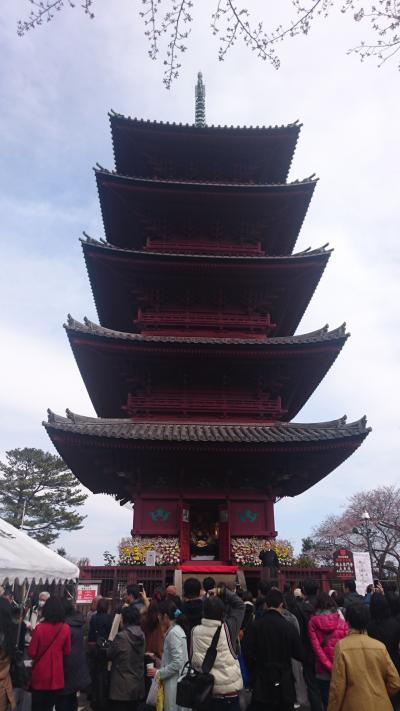 池上本門寺   花まつり  *。ヾ(。>ｖ<。)ノ゛*。&#127800; 桜はまだ咲いていなかった(*^^*)