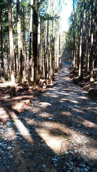 2017春☆伊勢路☆頭之宮四方神社～ツヅラト峠①