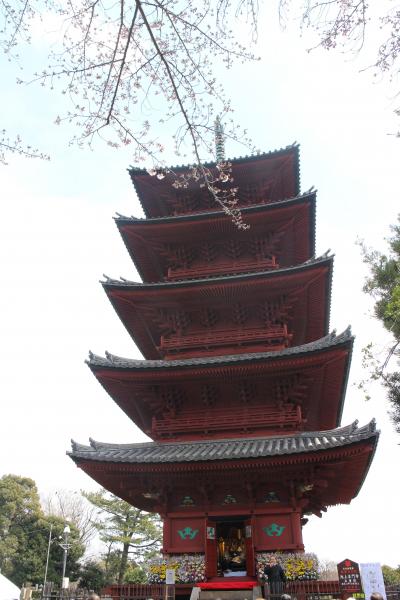 増上寺に本門寺、春まつりの本門寺では五重塔開帳で限定御朱印をいただく、花まつりで甘茶も。