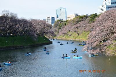 【東京散策63】 まだまだ満開じゃない千鳥ヶ淵と恩賜上野公園の桜を見ました