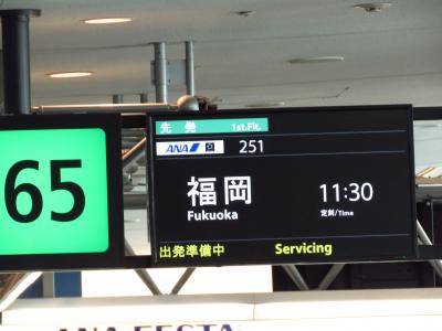 NH251 ＆　NH260　羽田－福岡往復　搭乗記　その１