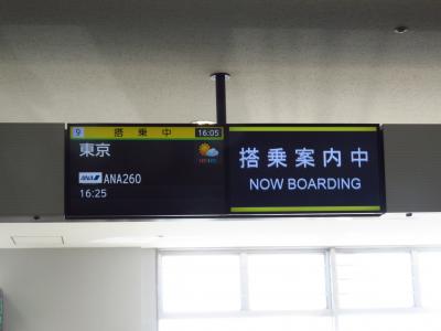 NH251 ＆　NH260　羽田－福岡往復　搭乗記　その2