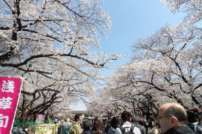 上野公園の花見客－2017年