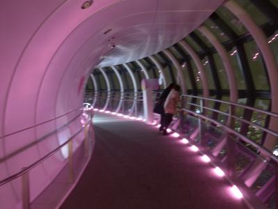 上京して来た息子と東京観光をしました。その１～夜の東京スカイツリー展望回廊!!(*^O^*)