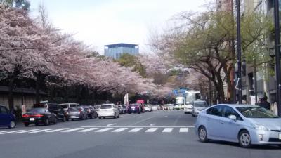 靖国神社で花見をしようと思って行ったら、人だらけです。