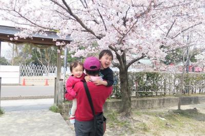 桜の季節の犬山へ行ってきました
