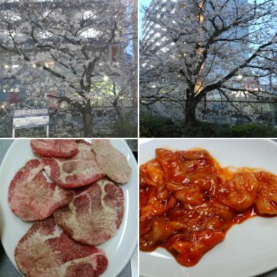 行きつけの焼肉屋で夜桜