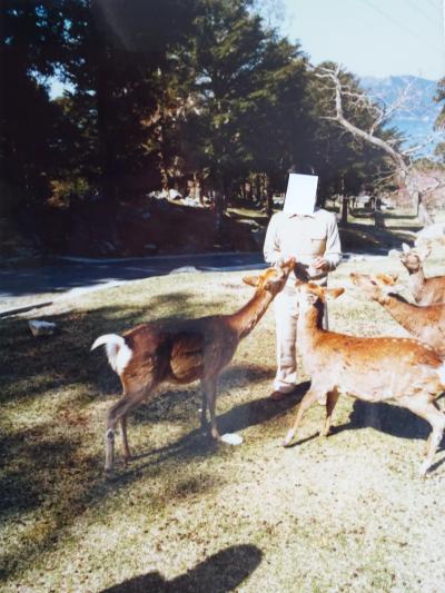 1984年(昭和59年)5月 宮城(松島(瑞巌寺 雄島) 女川 牡鹿半島(金華山 千畳敷 鹿山公園) 奥松島 仙台の旅)