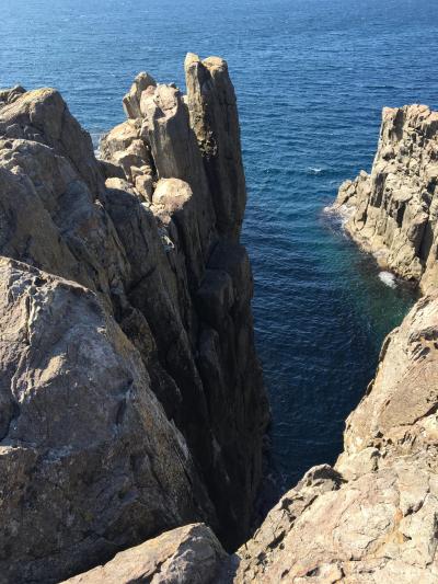 姪っ子ちゃんの春休み 2017　東尋坊・越前松島水族館・芝政ワールドで遊ぼう♪