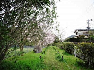 ２０１７年　春の一日