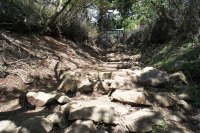 <大人の遠足> 大山編