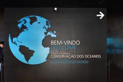 ユーラシア大陸最西端の国ポルトガルと初めに少し2回目のスペイン1人旅 その16：リスボン編③+復路編 国立古美術館，リスボン水族館と復路，ラウンジからの航空機撮影会