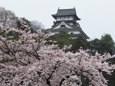 国宝犬山城と桜＆リトルワールドのサーカス