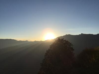 阿里山でお花見をしてご来光を堪能する