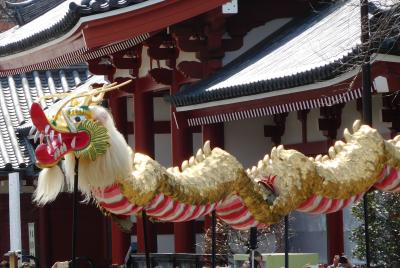 三社祭のプロローグ 浅草神社宮神輿「堂上げ堂下げ」と招き猫の今戸神社