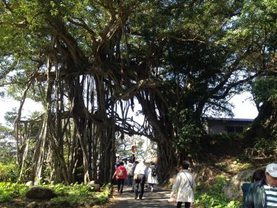 屋久島種子島四日間（その三）