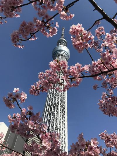 夫婦東京旅行