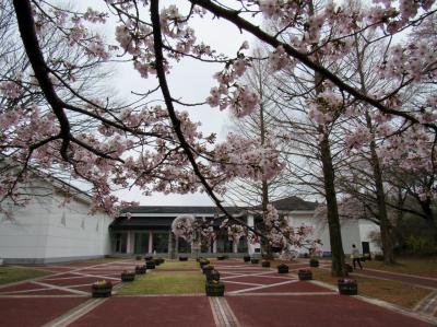 桜を求めて②～さくら市ミュージアム－荒井寛方記念館