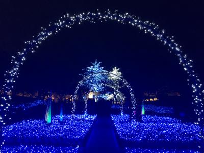 なばなの里　ウィンターイルミネーション