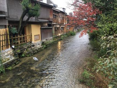 京都花月を観て彦根に泊まり、長浜に行ってきました。