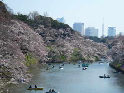 皇居のサクラ、九段下から大手町まで_2017_綺麗なサクラと沢山の人に圧倒されました。（東京都・千代田区）