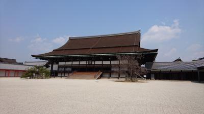 桜を求めて春の京都御所へ♪