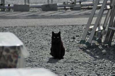 【2015年4-5月】ＧＷ(後編)宮城県うろうろ