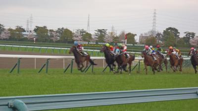 2017 宝塚 花見と桜花賞　父子２人旅～阪神競馬場（３時間）～