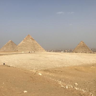 カイロに戻ってきた