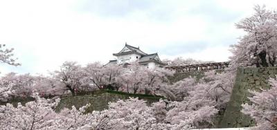 津山まつりと、津山城登城