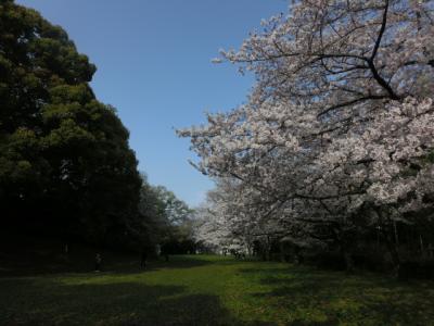 桜満開☆大高城～鷲津砦、丸根砦～沓掛城☆桶狭間の戦い