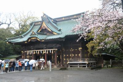 富士山と桜の花を愛でるはずだった旅（３日目の三島・沼津編）