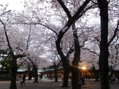 東京２０１７桜　【５】靖国神社