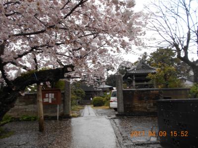 百名城の旅　佐倉城と満開の桜を楽しむ