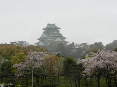 雨の中の大阪城の桜と幻想的な絶景の東寺ライトアップ♪（その1）