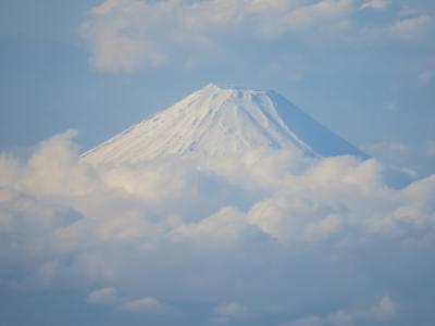 空の旅　高知～東京