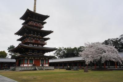 ちょっと早めの吉野山の桜と奈良の桜を満喫！①