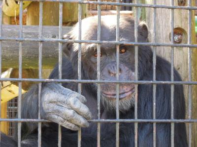 早春の野毛山動物園＆にぎわい座で円楽さんの落語を聞く